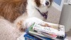 books on paper towels