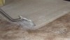 How To Steam Clean Carpets